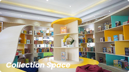 Collection Space
